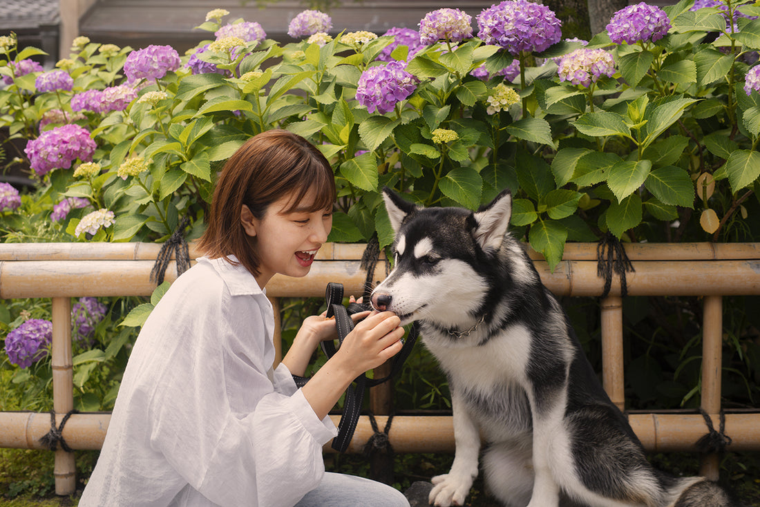ワンちゃんとコミュニケーションを取る大切さと方法を知ろう!
