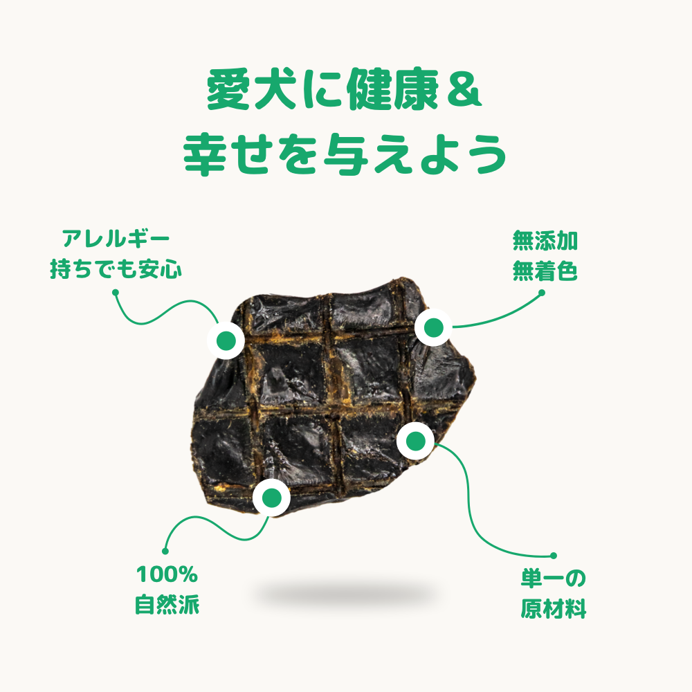 GoDoggy 馬キドニーバイツ 40g