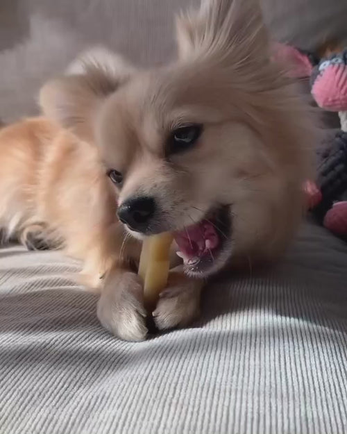 Translation missing: ja.block.video.load_video