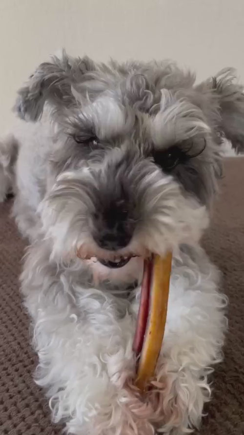 Translation missing: ja.block.video.load_video