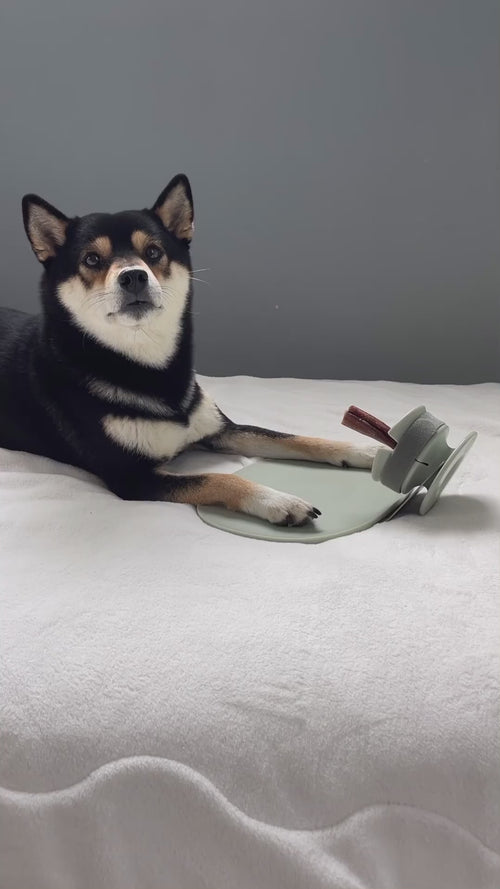 Translation missing: ja.block.video.load_video