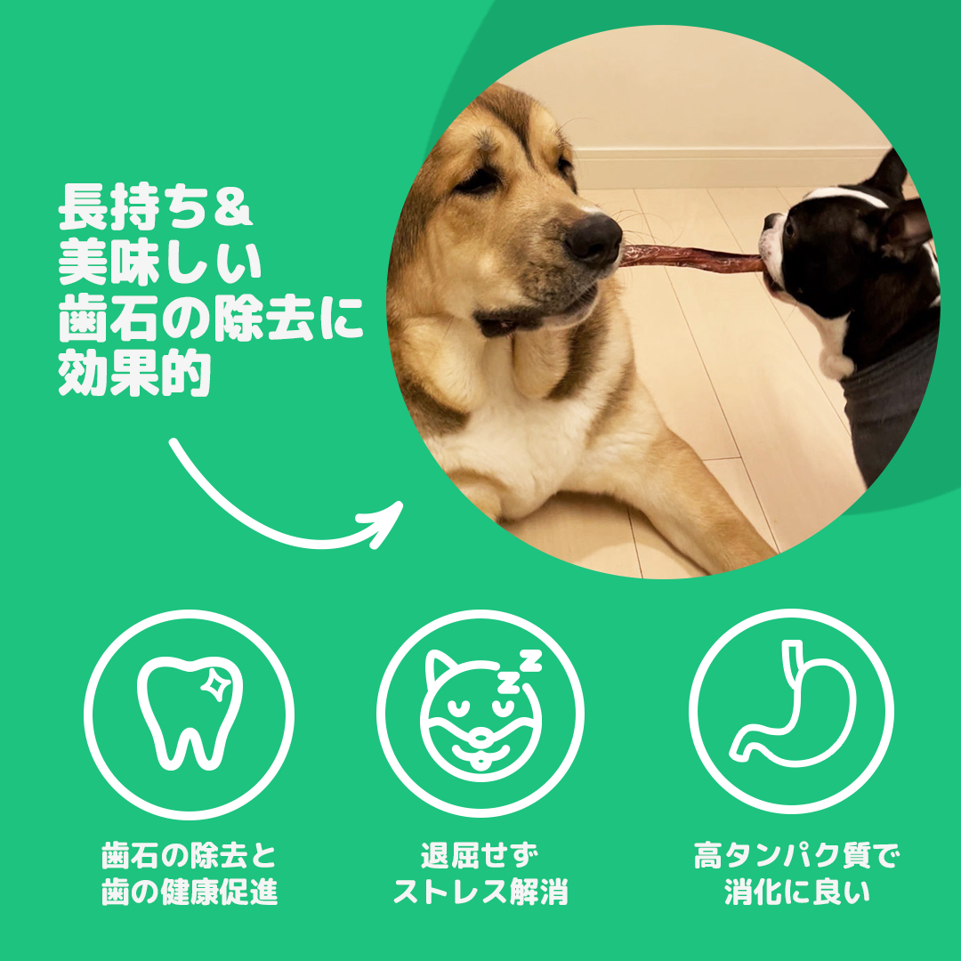 GoDoggy ブリースティックチュー (L) 1本入り30cm