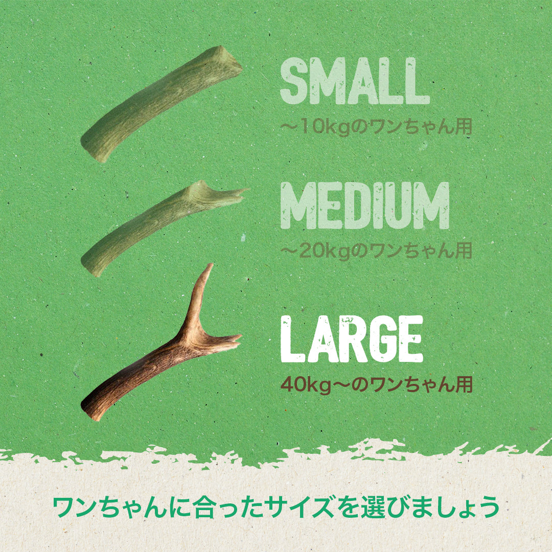 GoDoggy 鹿の角 Lサイズ 20cm ポーランド産