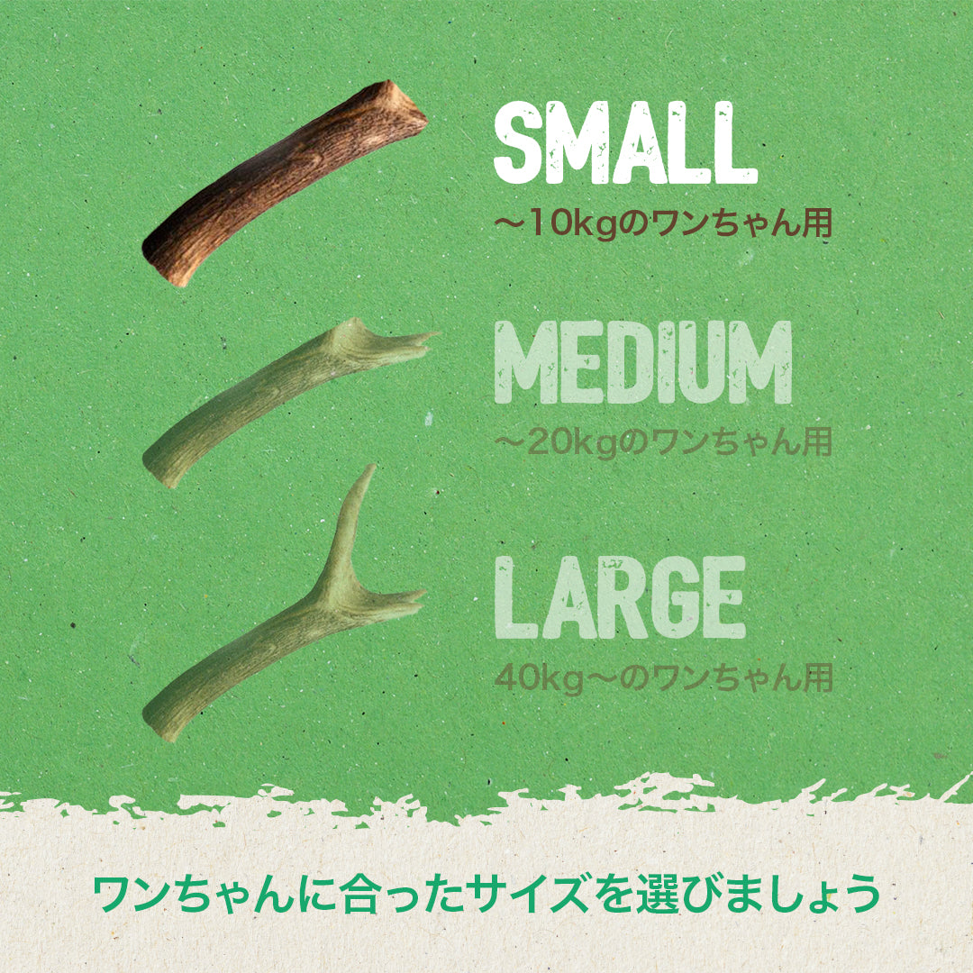 GoDoggy 鹿の角 Sサイズ 10cm ポーランド産