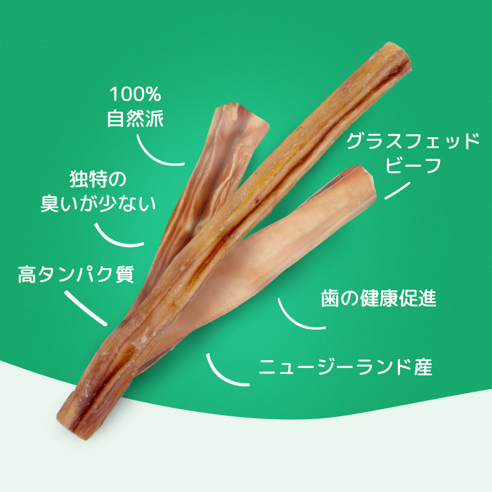 GoDoggy ブリースティックチュー (L) 1本入り30cm