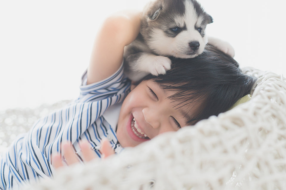 犬と男の子