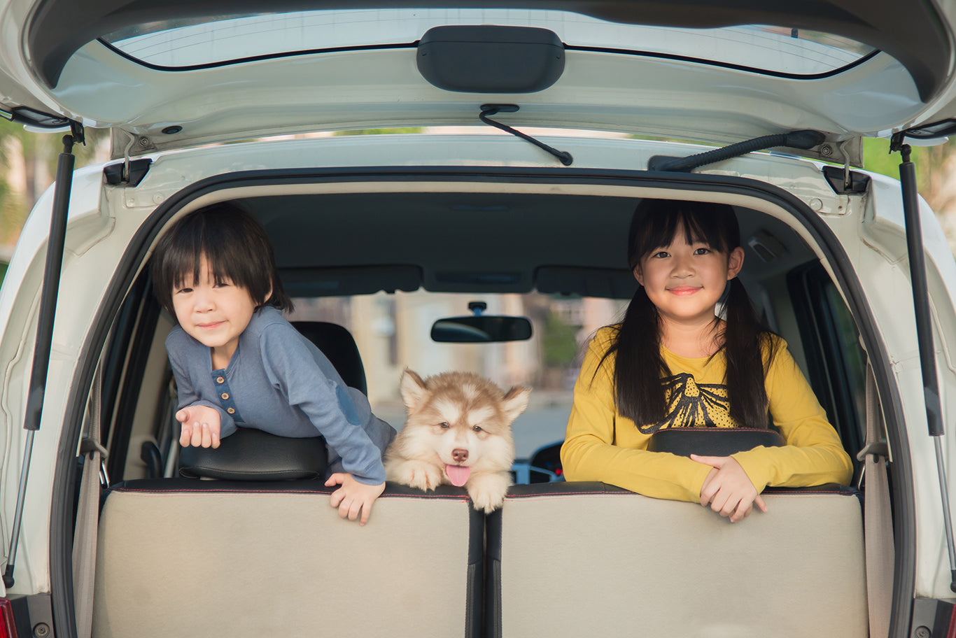 車の中で座っているアジアの子供たちとシベリアンハスキーの子犬
