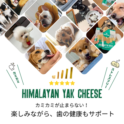 ヒマラヤ産ヤクチーズスティック (XL) - 1本入り180g