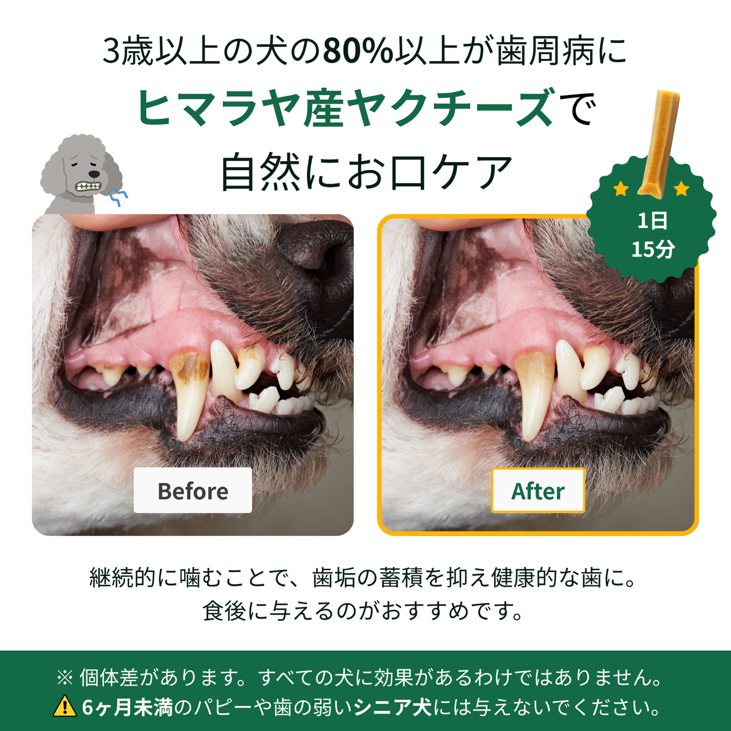 ヒマラヤ産ヤクチーズスティック (XL) - 1本入り180g