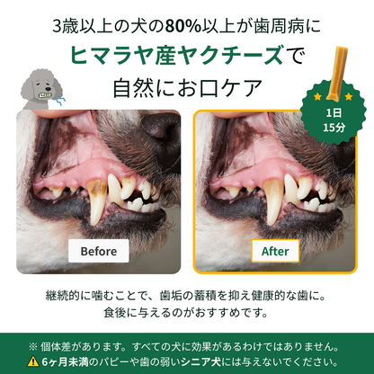 ヒマラヤ産ヤクチーズスティック (XL) - 1本入り180g