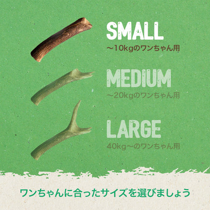 GoDoggy 鹿の角 Sサイズ 10cm ポーランド産